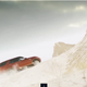 Screengrab of Land Rover’s Australian website, via CarAdvice.com